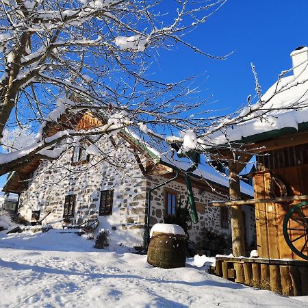 Ferienhaus Friedlhof Langschlag  Екстериор снимка