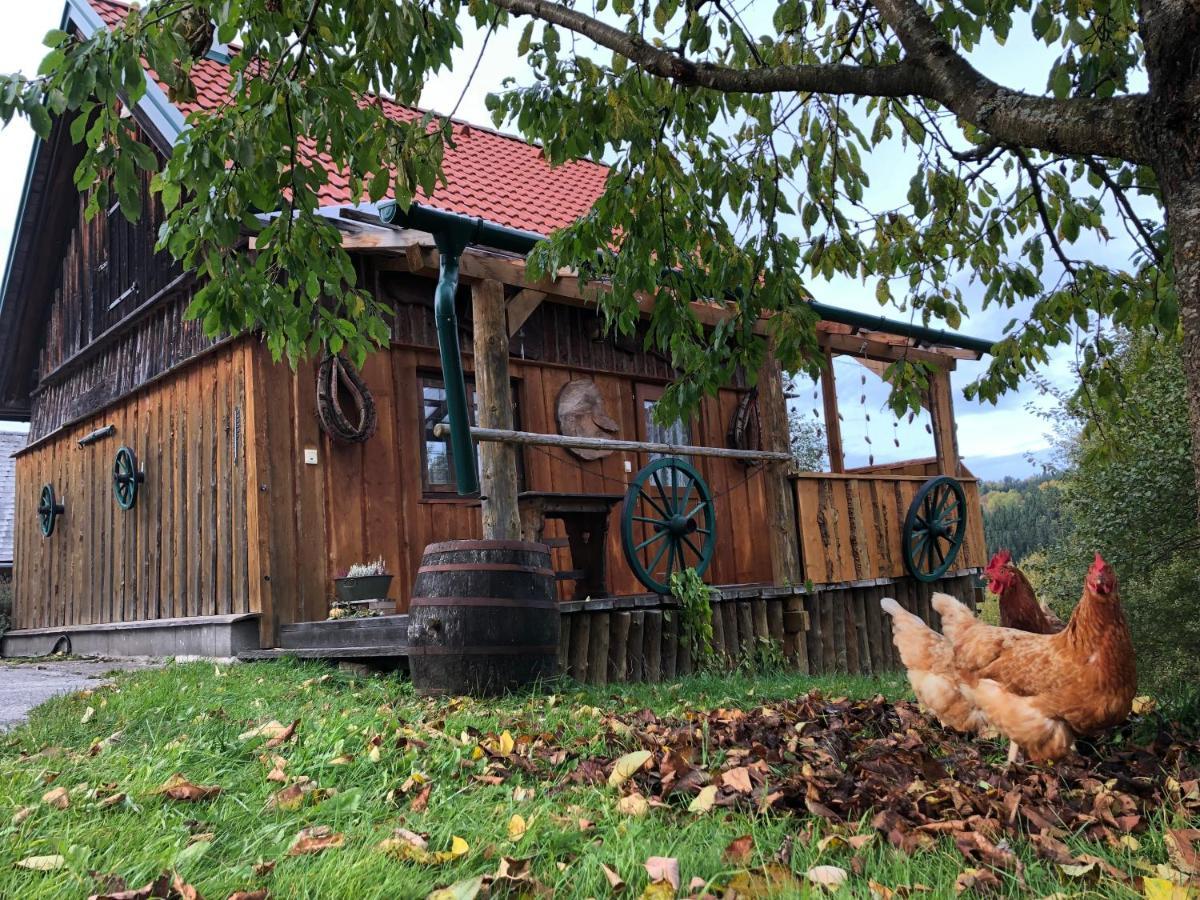 Ferienhaus Friedlhof Langschlag  Екстериор снимка